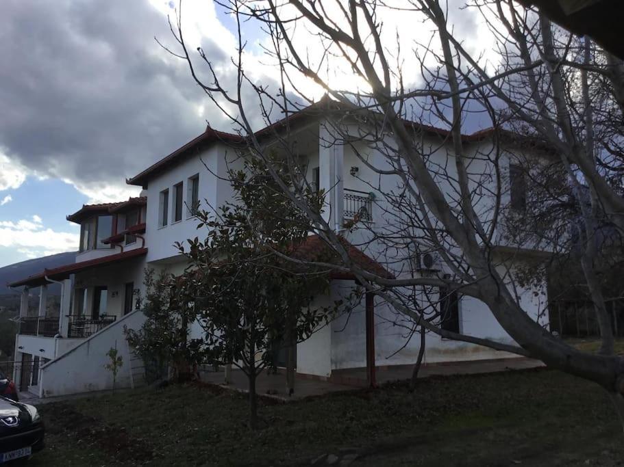 Villa_Kleio 里托楚伦 外观 照片